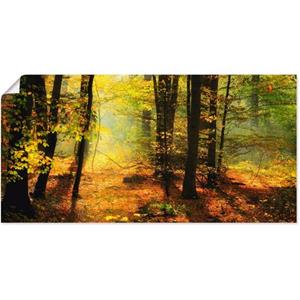 Artland Artprint Herfstlicht in het bos als artprint op linnen, muursticker of poster in verschillende maten