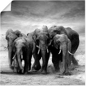 Artland Wandbild "Elefanten", Wildtiere, (1 St.), als Leinwandbild, Poster, Wandaufkleber in verschied. Größen