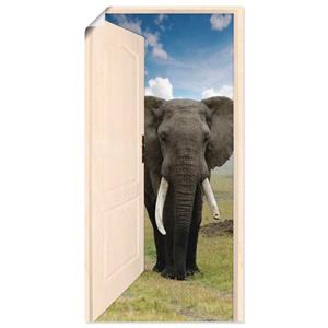 Artland Wandbild "Offene weiße Türe mit Blick auf Elefant", Wildtiere, (1 St.), als Leinwandbild, Poster, Wandaufkleber in verschied. Größen