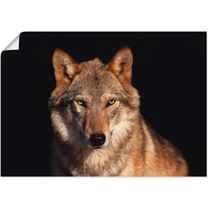 Artland Artprint Wolf als artprint van aluminium, artprint op linnen, muursticker of poster in verschillende maten