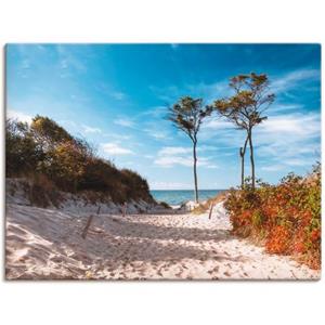 Artland Artprint Weststrand Darss als artprint op linnen, muursticker of poster in verschillende maten