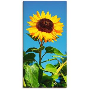 Artland Wandbild "Sonnenblume", Blumen, (1 St.), als Alubild, Outdoorbild, Leinwandbild, Poster in verschied. Größen