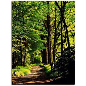 Artland Artprint Weg in het bos als artprint van aluminium, artprint op linnen, muursticker of poster in verschillende maten