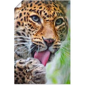 Artland Artprint Leopard als artprint van aluminium, artprint op linnen, muursticker of poster in verschillende maten