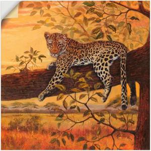 Artland Wandbild "Ruhender Leopard", Wildtiere, (1 St.), als Alubild, Leinwandbild, Wandaufkleber oder Poster in versch. Größen