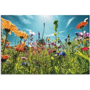 Artland Wandbild "Buntes Blumenfeld", Blumenwiese, (1 St.)