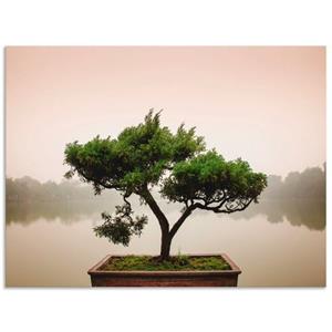 Artland Wandbild "Chinesischer Bonsaibaum", Bäume, (1 St.)