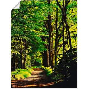 Artland Artprint Weg in het bos als artprint van aluminium, artprint op linnen, muursticker of poster in verschillende maten