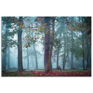 Artland Artprint Mist in het bos als artprint van aluminium, artprint op linnen, muursticker of poster in verschillende maten