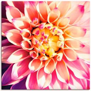 Artland Artprint Dahlia als artprint op linnen, muursticker of poster in verschillende maten