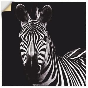 Artland Artprint Zebra II als artprint op linnen, muursticker of poster in verschillende maten