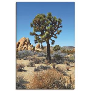 Artland Artprint Joshua Tree in de Mojave woestijn III als artprint van aluminium, artprint op linnen, muursticker of poster in verschillende maten