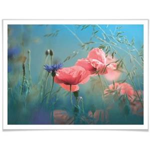 Wall-Art Poster Wilde bloemen aquamarijn (1 stuk)