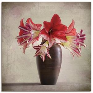 Artland Artprint Amaryllis vintage II als artprint van aluminium, artprint op linnen, muursticker of poster in verschillende maten