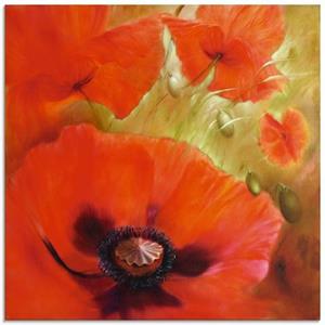 Artland Print op glas Vier maal papaver in verschillende maten