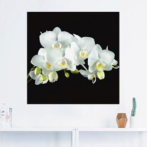 Artland Artprint Witte orchidee op een zwarte achtergrond als artprint van aluminium, artprint op linnen, muursticker of poster in verschillende maten