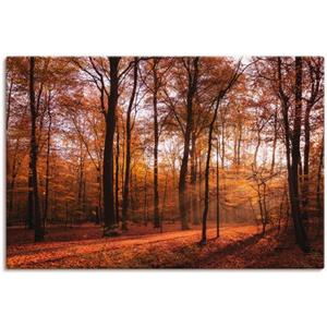 Artland Artprint Zonsopkomst in de herfst II als artprint van aluminium, artprint op linnen, muursticker of poster in verschillende maten