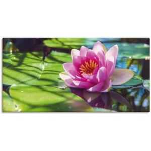 Artland Wandbild "Seerose Nahaufnahme", Blumenbilder, (1 St.)