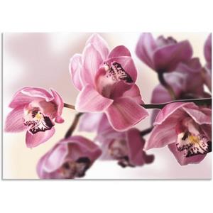 Artland Artprint Roze orchidee als artprint van aluminium, artprint op linnen, muursticker of poster in verschillende maten