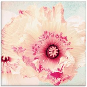 Artland Print op glas Pastel papaver in verschillende maten