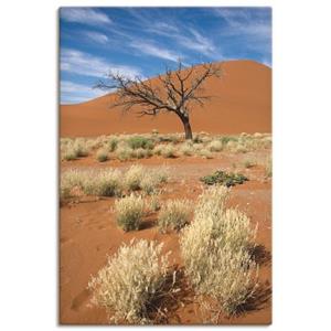 Artland Artprint Namib-woestijn 2 als artprint van aluminium, artprint op linnen, muursticker of poster in verschillende maten