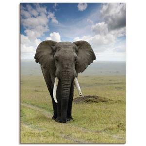 Artland Artprint Olifant als artprint van aluminium, artprint op linnen, muursticker of poster in verschillende maten