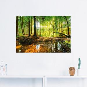 Artland Artprint Bos met beek als artprint van aluminium, artprint op linnen, muursticker of poster in verschillende maten