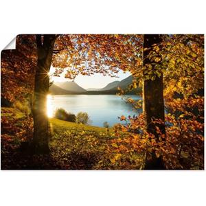 Artland Artprint Herfst aan de Sylvensteinsee als artprint van aluminium, artprint op linnen, muursticker of poster in verschillende maten