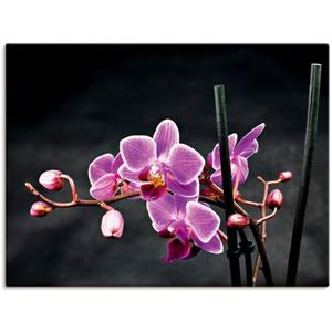 Artland Artprint Een orchidee voor een zwarte achtergrond als artprint op linnen, muursticker of poster in verschillende maten