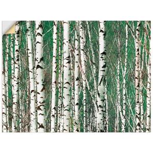 Artland Wandbild "Birkenwald - Bäume", Bäume, (1 St.), als Leinwandbild, Wandaufkleber in verschied. Größen
