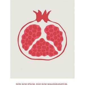 Komar Wandbild "Cultivated Pomegranate", (1 St.), Deutsches Premium-Poster Fotopapier mit seidenmatter Oberfläche und hoher Lichtbeständigkeit. Für fotorealistische Drucke mit g