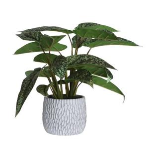 Xenos Kunstplant in pot - syngonium - 39 cm