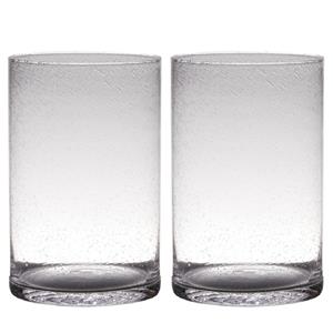 Set van 2x stuks transparante home-basics cylinder vorm vaas/vazen van bubbel glas 30 x 19 cm -