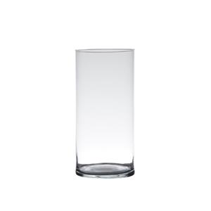 Hakbijl Glass Glazen bloemen cilinder vaas/vazen 25 x 12 cm transparant -