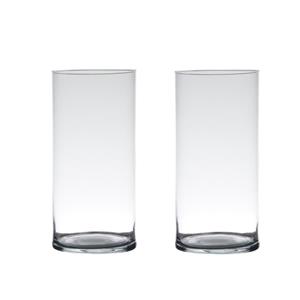 Set van 2x stuks transparante home-basics cylinder vaas/vazen van glas 25 x 12 cm -
