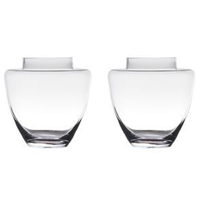 Set van 2x stuks transparante luxe vaas/vazen van glas 19 x 19 cm -