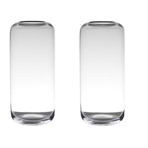 Set van 2x stuks transparante grote vaas/vazen van glas x 18 cm -