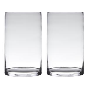 Set van 2x stuks transparante home-basics cylinder vorm vaas/vazen van glas 30 x 15 cm -