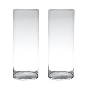 Set van 2x stuks transparante home-basics cylinder vorm vaas/vazen van glas 60 x 19 cm -