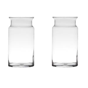 Set van 2x stuks transparante home-basics vaas/vazen van glas 29 x 15 cm -