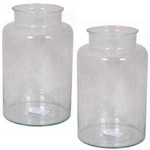 Floran Set van 2x stuks glazen melkbus vaas/vazen 9 liter smalle hals 19 x 30 cm -