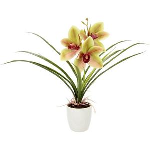 I.GE.A. Kunstblume "Orchidee", Mit Blätter im Topf aus Keramik Künstliche Blume Cymbidium-Orchidee