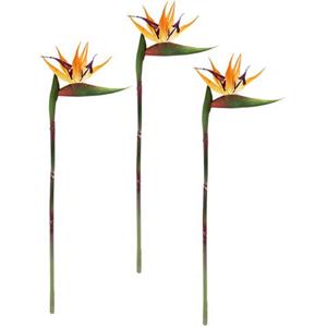 I.GE.A. Kunstbloem Künstliche Blume Strelitzie Paradiesvogelblume Exotischer Dekozweig (3 stuks)