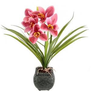 my home Kunstblume "Orchidee", Mit Blätter im Topf aus Zement Künstliche Blume Cymbidium-Orchidee