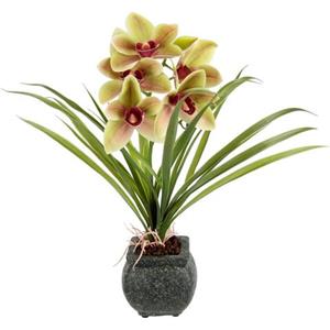 my home Kunstblume "Orchidee", Mit Blätter im Topf aus Zement Künstliche Blume Cymbidium-Orchidee