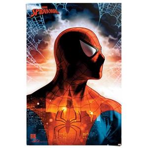 Reinders! Poster Spiderman - protector of the city