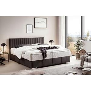 INOSIGN Boxspring Thor