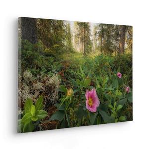 Komar Artprint op linnen Keilrahmenbild - Charming Woods - Größe 60 x 40 cm Duits kwaliteitsvliesmateriaal (155 g/m²) (1 stuk)