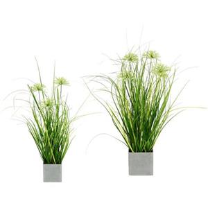 I.GE.A. Kunstpflanze "Gras", 2er Set