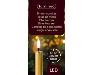 Lumineo LED dinerkaars d2h24 cm goud/wwt 2st kerst - 